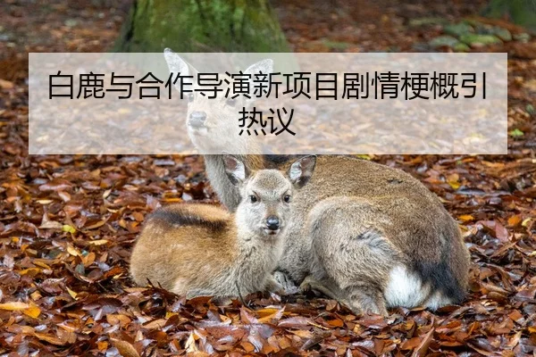 白鹿与合作导演新项目剧情梗概引热议