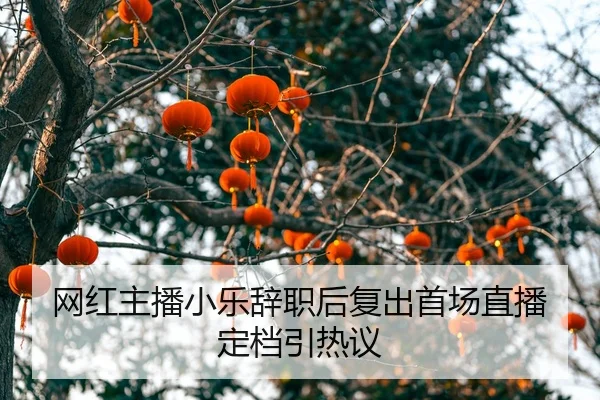 wang-hong-zhu-bo-xiao-le-ci-zhi-hou-fu-chu-shou-chang-zhi-bo-ding-dang-yin-re-yi-2-130.jpg
